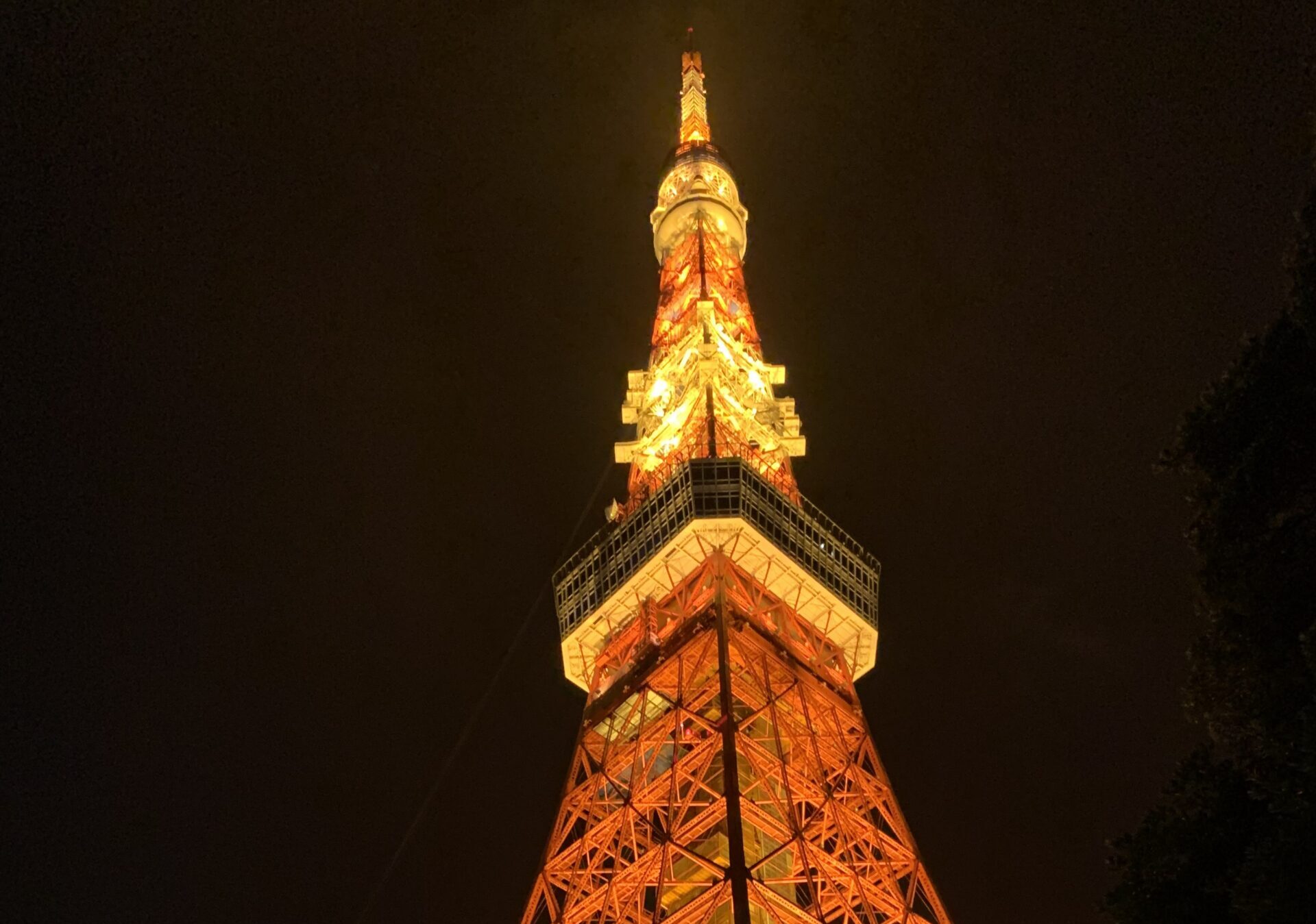 Travel Tokyo with Family
