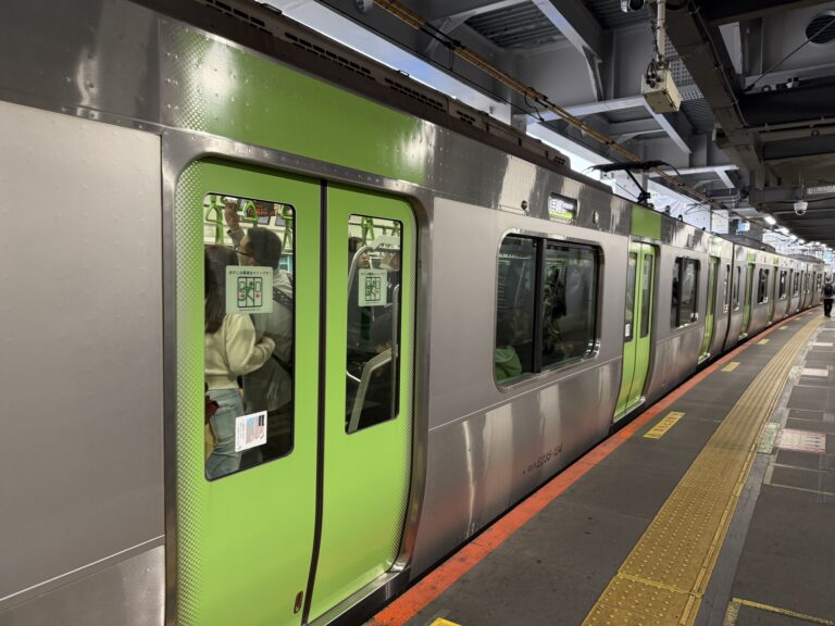 Can You Really Use a Stroller on Tokyo’s Trains? A Local Dad’s Complete Survival Guide